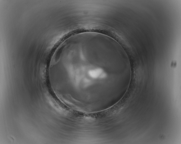 X0000111210592200907011446