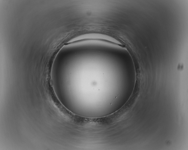 X0000111210593200907011446