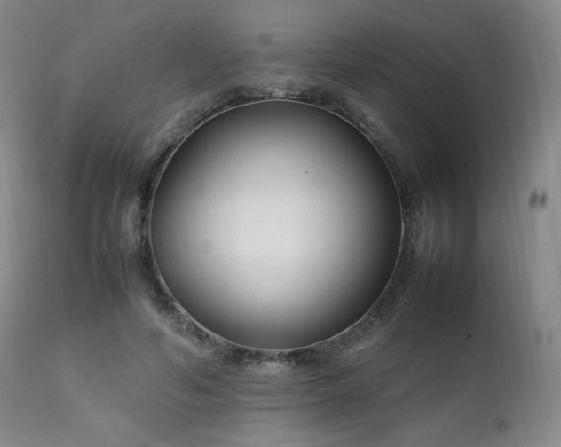 X0000111210594200907011446