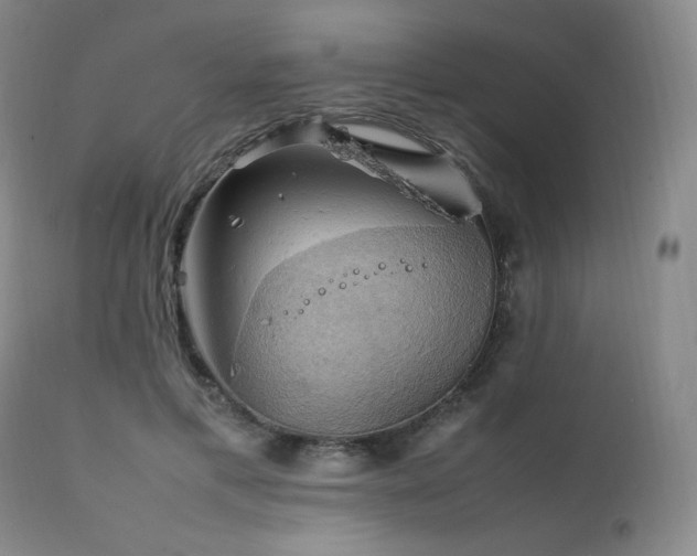 X0000111210597200907011446