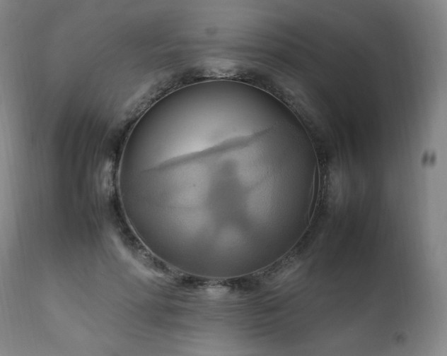 X0000111210598200907011446