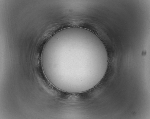 X0000111210599200907011446