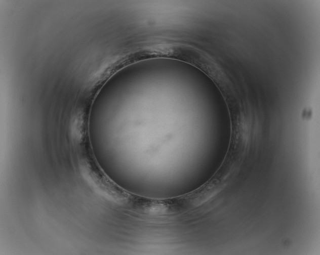 X0000111210600200907011446