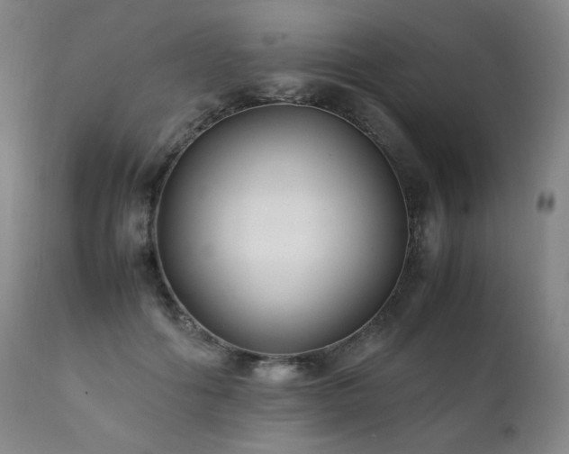 X0000111210602200907011446