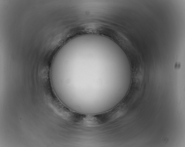 X0000111210603200907011446