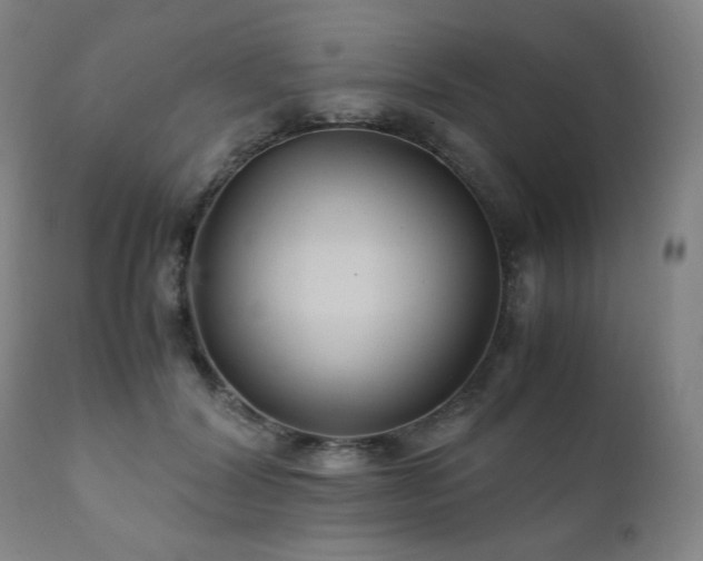 X0000111210604200907011446