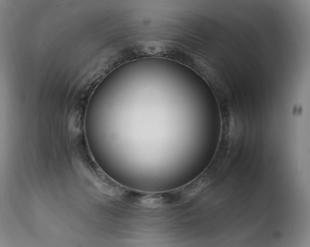 X0000111210606200907011446