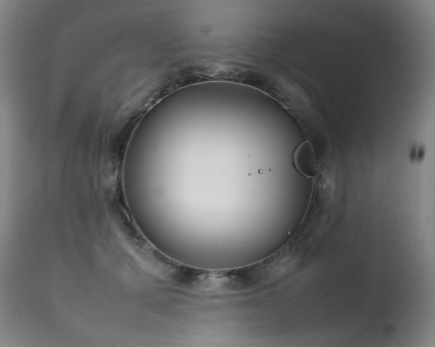 X0000111210607200907011446