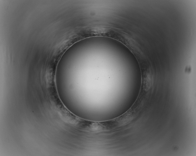 X0000111210608200907011446