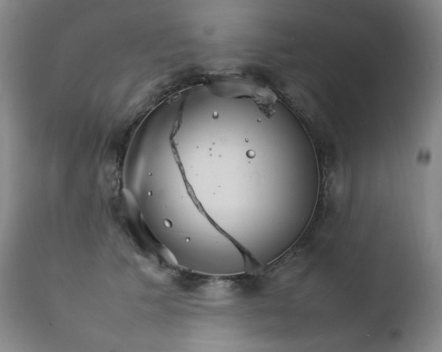 X0000111210609200907011446