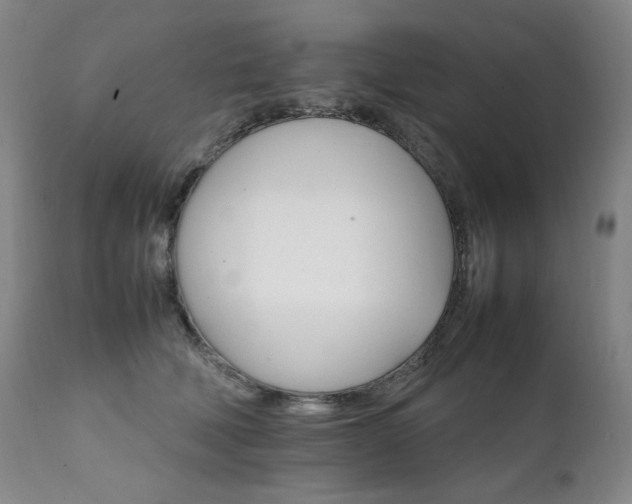 X0000111210610200907011446