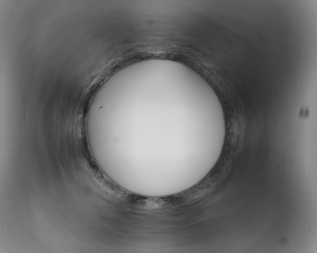 X0000111210612200907011445