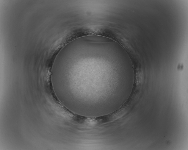 X0000111210613200907011445