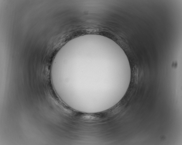 X0000111210614200907011445