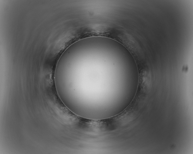 X0000111210615200907011445