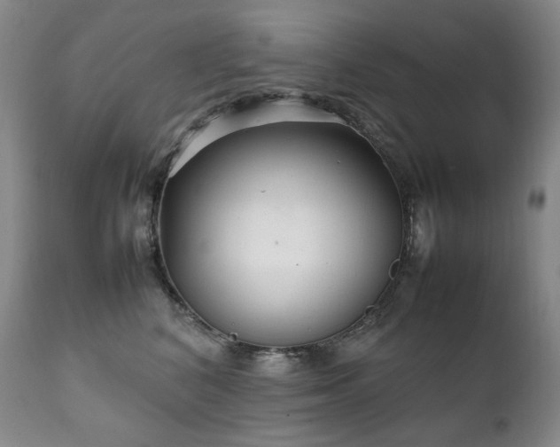 X0000111210616200907011445