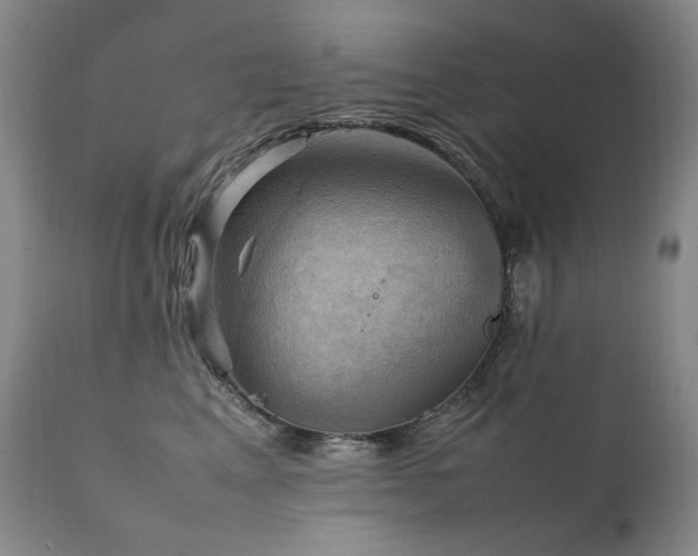 X0000111210617200907011445