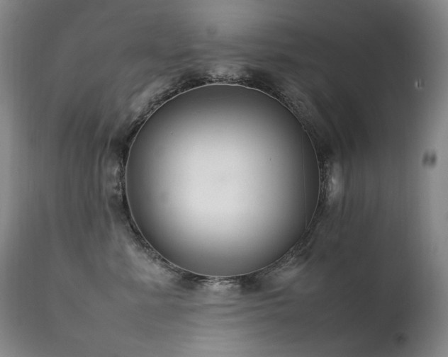 X0000111210619200907011445