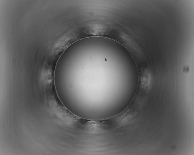 X0000111210620200907011445