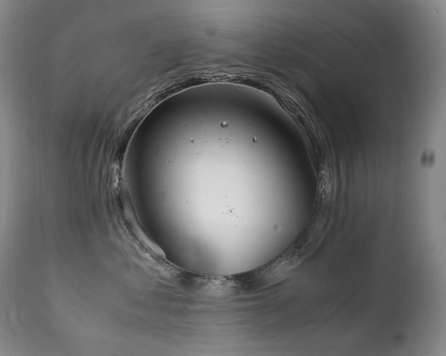 X0000111210621200907011445