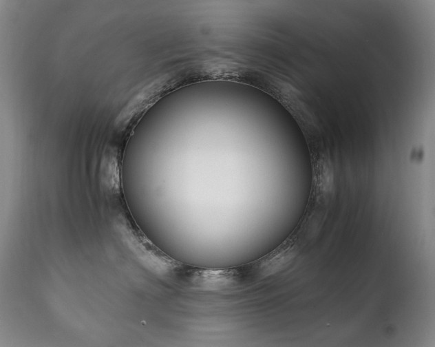 X0000111210622200907011445