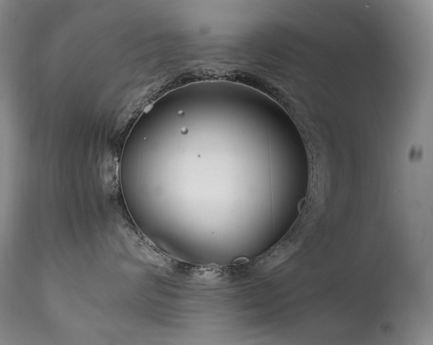 X0000111210624200907011445