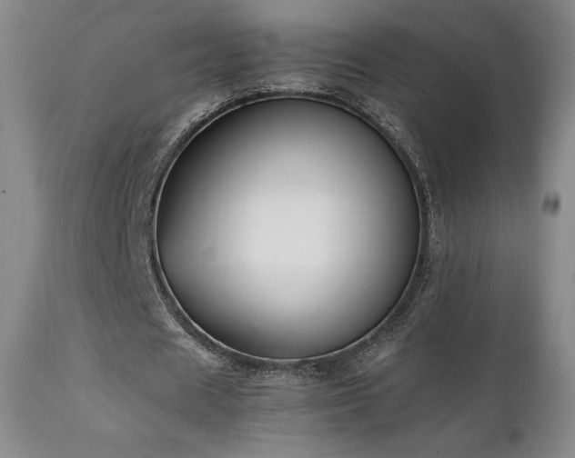 X0000111210625200907011444