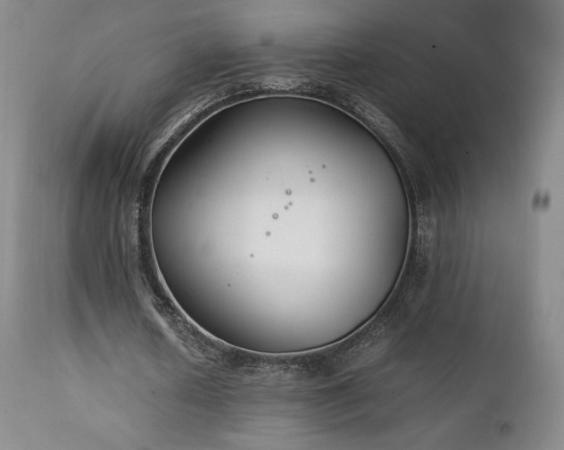 X0000111210626200907011444