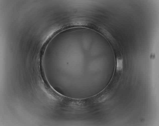 X0000111210627200907011444