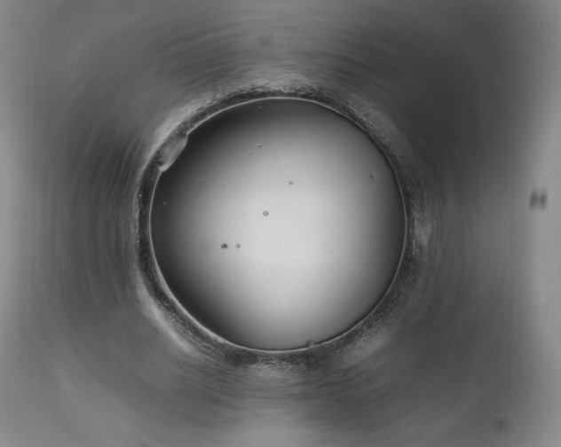 X0000111210630200907011444