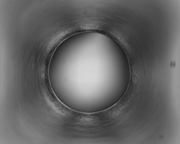 X0000111210631200907011444