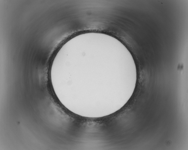 X0000111210632200907011444