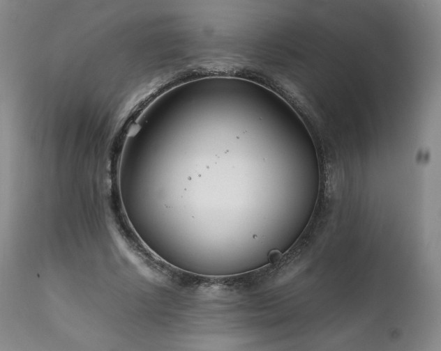 X0000111210634200907011444