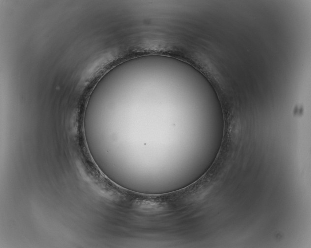 X0000111210635200907011444