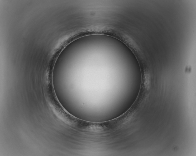 X0000111210636200907011444