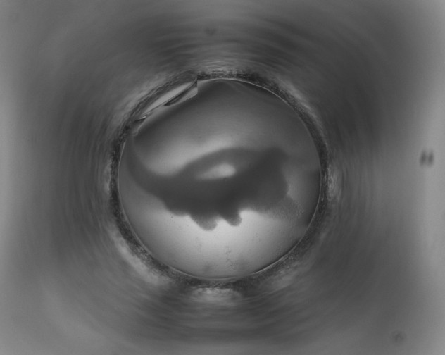 X0000111210637200907011445