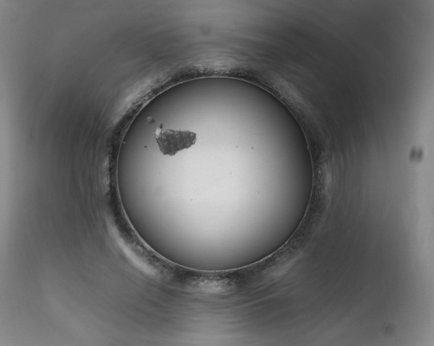 X0000111210638200907011445