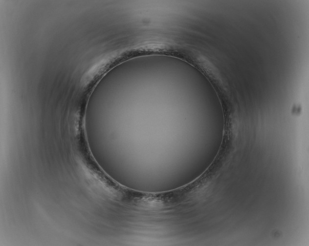 X0000111210640200907011445