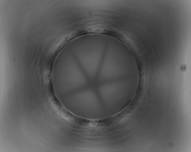 X0000111210641200907011445