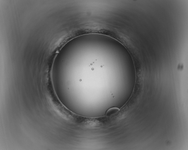 X0000111210642200907011445