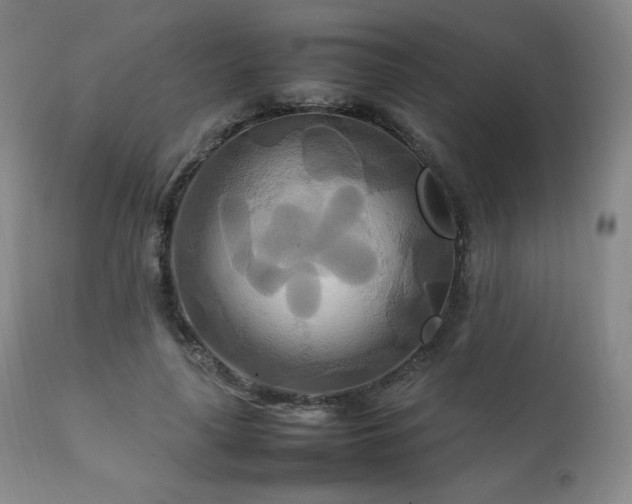 X0000111210643200907011445