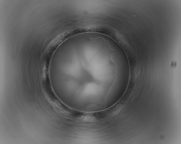 X0000111210644200907011445