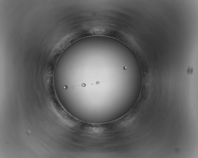 X0000111210645200907011445