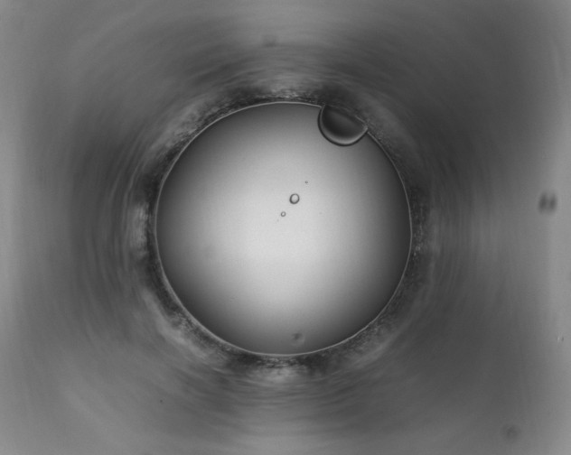 X0000111210646200907011445