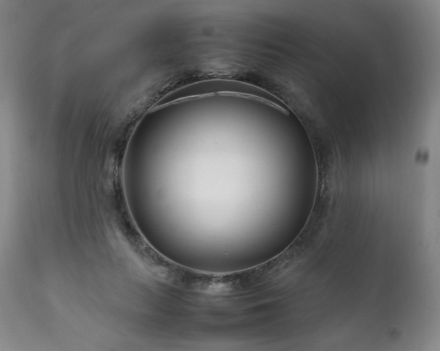 X0000111210647200907011445