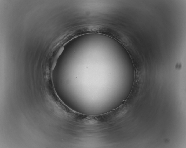 X0000111210648200907011445