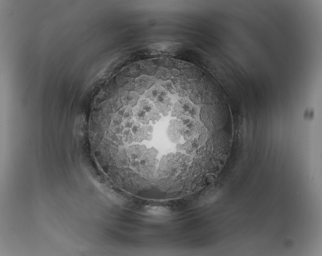 X0000111210649200907011445