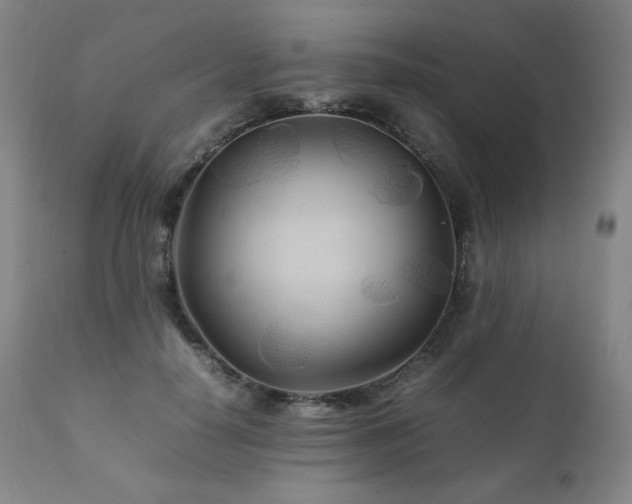 X0000111210650200907011445