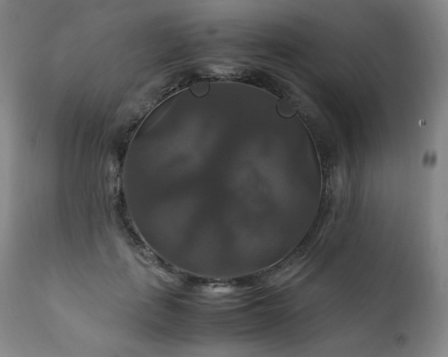 X0000111210651200907011445