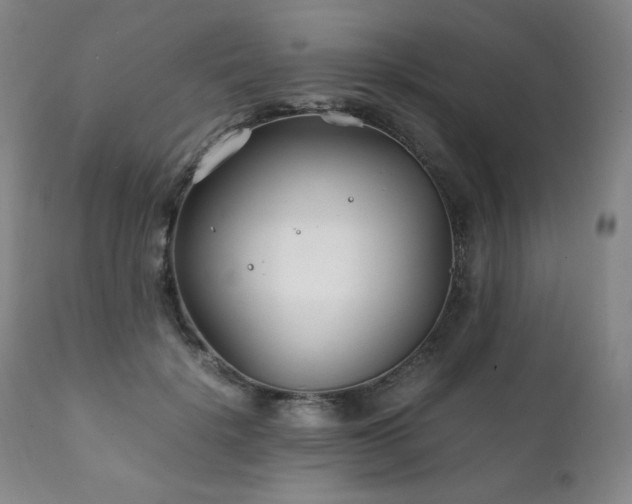 X0000111210652200907011445